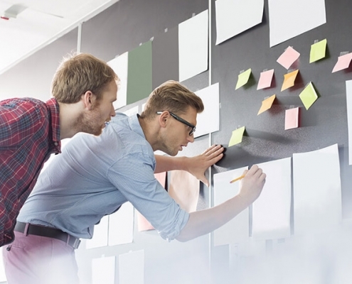 نیروی متخصص کبک